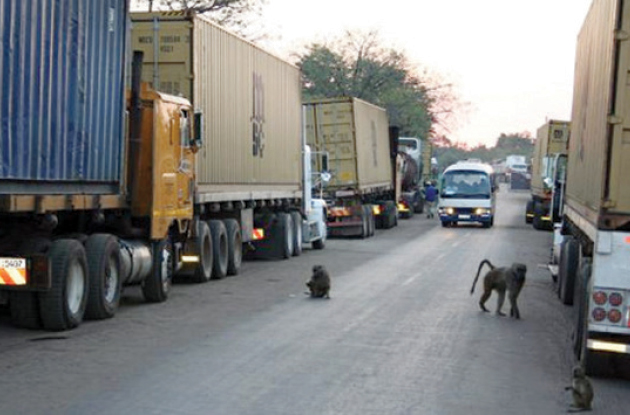 Haulage trucks await clearance at Beitbridge Border Post in this file photo