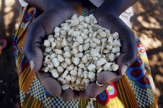 food aid1