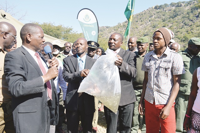 The Minister of State for Provincial Affairs in Matabeleland South Cde Abednigo Ncube (left) hands over fingerlings for the National Command Fisheries Programme to villagers in Matabeleland South yesterday