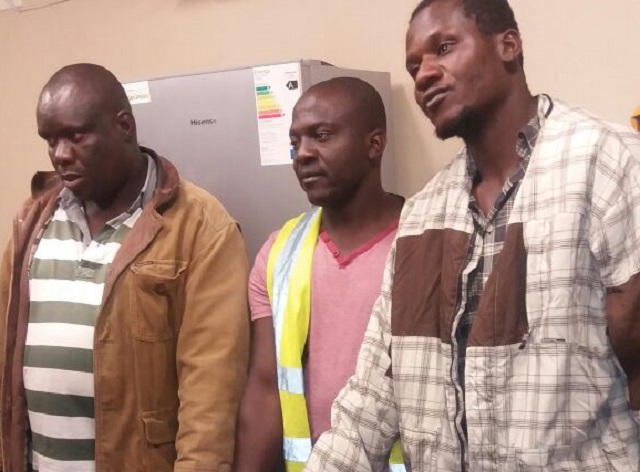 Aaron Kasirori, Tendai Chaparadza and Tafadzwa Moses Magurira