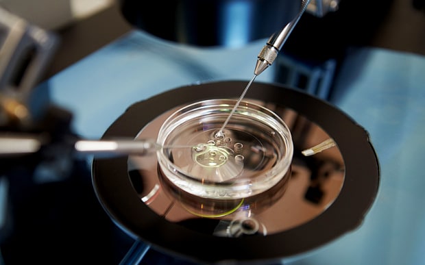 ivf_3477096b
