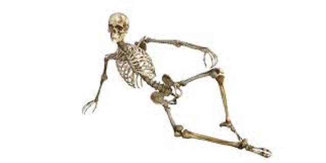 skeleton