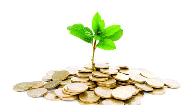 Coins and plant, isolated on white background