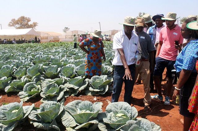 Prime Seed Company regional sales representative, Mr Casim Bisalom, shows farmers some of the hybrid varieties produced by his company at UCF Farm in Queens Park, Bulawayo, last Friday