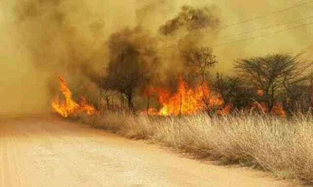veld-fire