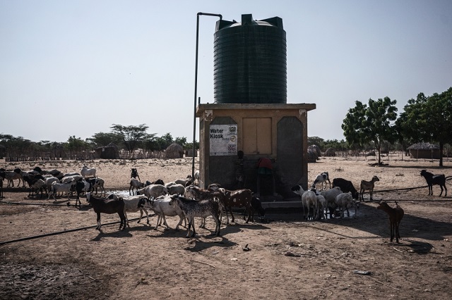 Without water points like this, many more animals would die