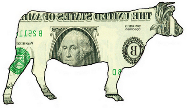 cash and cow