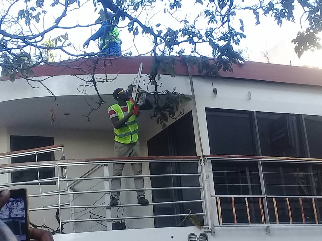 Crew members seen cutting down trees along the road