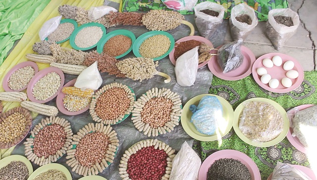 Some of the seed varieties ZIMPRO is encouraging farmers to preserve