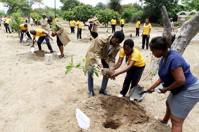 United College of Education yesterday embarked on a tree planting excercise to mark the National Tree Planting Day at the college. Among them were Chronicle staffers Prince Sunduzani and Whinsley Masara who took time to also plant trees